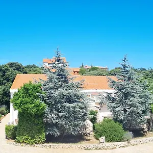 Lavender House Mandre